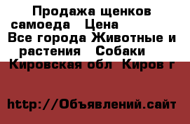 Продажа щенков самоеда › Цена ­ 40 000 - Все города Животные и растения » Собаки   . Кировская обл.,Киров г.